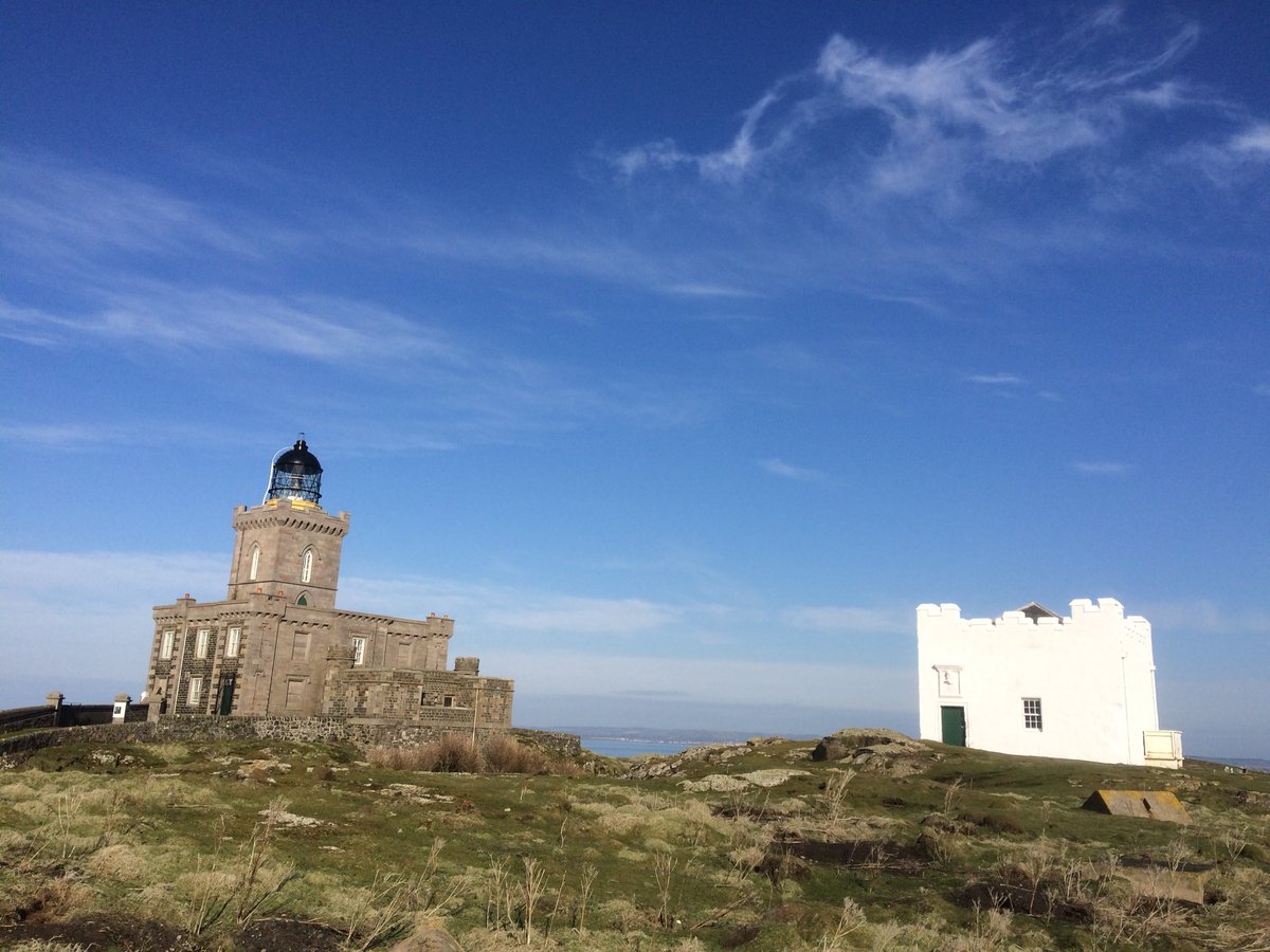 SteelySeabirder's tweet photo. Morning all. Superb morning out on the Isle of May; the sun is actually out! https://t.co/U9a2zm2PRw