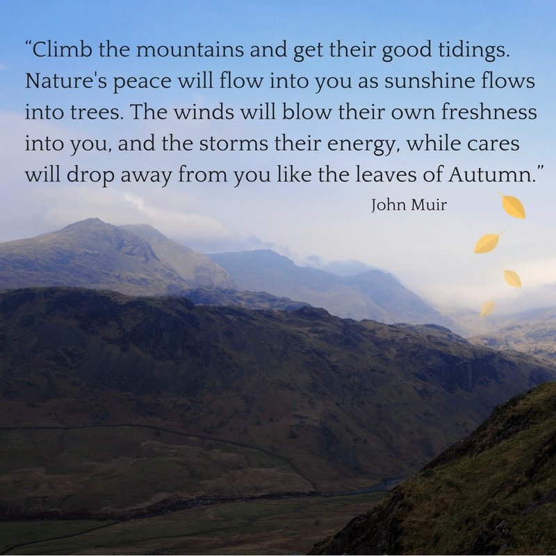 Mountain Pilgrims tweet media
