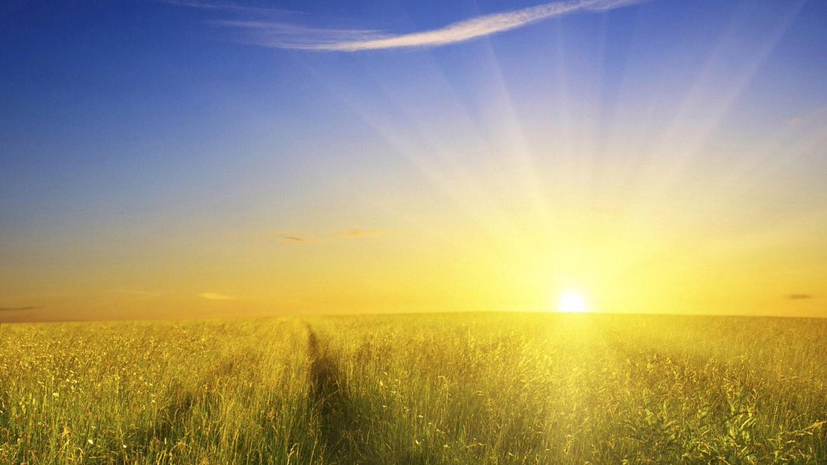 SpotLoggins's tweet photo. Keep the #sunshine coming! #lovingtheweather #summershere #perfect for #spotlogginsicecream https://t.co/KAwzoUPWx2