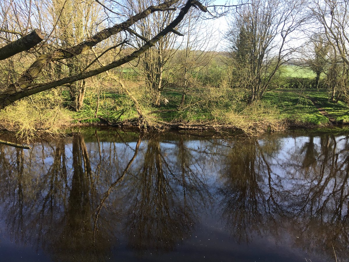 Bean2Baby's tweet photo. What a glorious dog walk this morning! #selfemployed #flexibleworking #natalpower #yorkshire https://t.co/LSF86891og
