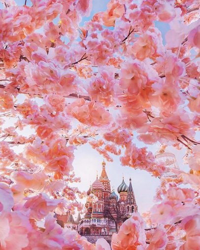 Hey Foodies! Time to dig into traditional Cuisine of #Moscow. Hearty meats, Light dill-seasoned salads, Stick-to-your-ribs dumplings,and much more - #Russian food is full of comfort &amp; delight. And the best time to visit there is #Spring -1 March to 31 May.bit.ly/2mOXw9T