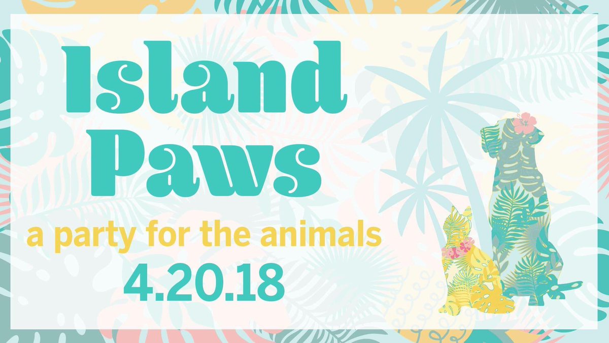 Ava Tampa (@avatampa) on Twitter photo Still tickets available for <a href="/HumaneTampaBay/">Humane Society Tampa</a> Island Paws! 🐾🐾🌴 Don't miss this fun evening to support the 🐶🐱! islandpawsparty.com
#giveback #hstb Still tickets available for <a href="/HumaneTampaBay/">Humane Society Tampa</a> Island Paws! 🐾🐾🌴 Don't miss this fun evening to support the 🐶🐱! islandpawsparty.com
#giveback #hstb