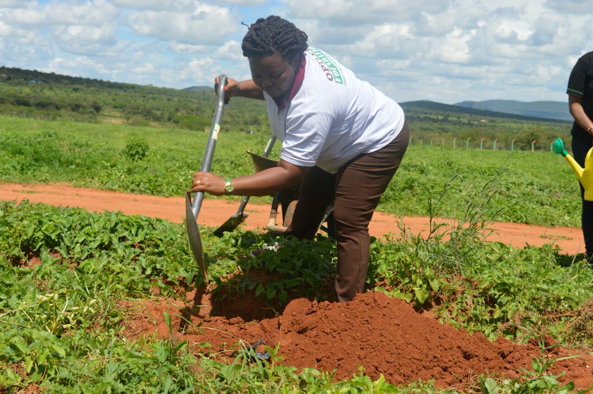 BrianTechFy's tweet photo. Our Chairman and Trustees at the forefront of Environment Protection and Sustainability. We have planted thousands of trees #OptivenTransform @OptivenFoundatn https://t.co/Xr9UPTCZB6
