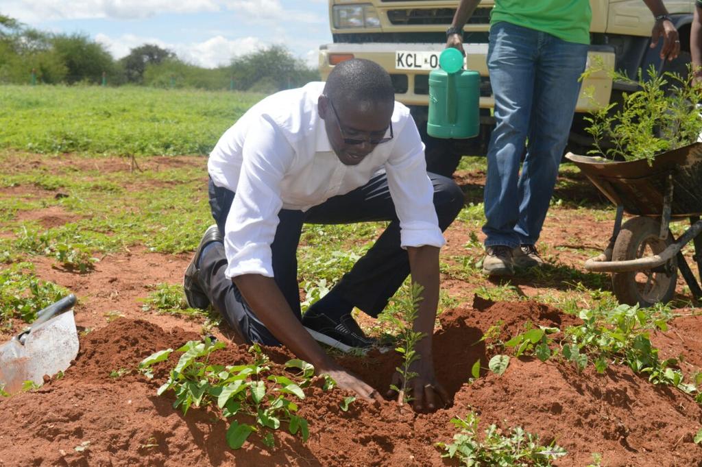 BrianTechFy's tweet photo. Our Chairman and Trustees at the forefront of Environment Protection and Sustainability. We have planted thousands of trees #OptivenTransform @OptivenFoundatn https://t.co/Xr9UPTCZB6