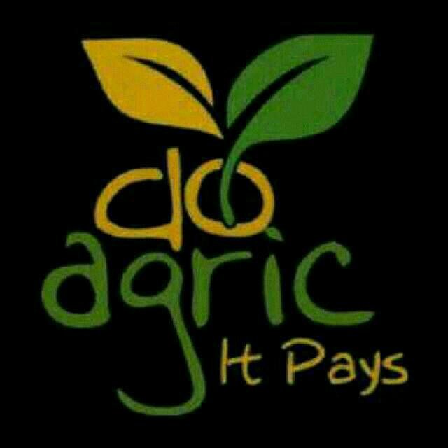 AerdFunaab's tweet photo. Agriculture is the Way to Life,  #DoAgricItPays 
@AerdFunaab @CorpFarmersTV @farmerscornerng @FMARDNG @FunaabsuRebirth @unaabweb @FAOKnowledge https://t.co/y6I7VrkTQk