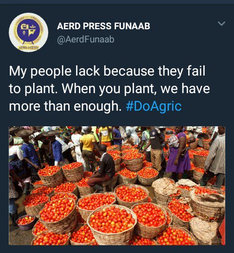 AerdFunaab's tweet photo. Agriculture is the Way to Life,  #DoAgricItPays 
@AerdFunaab @CorpFarmersTV @farmerscornerng @FMARDNG @FunaabsuRebirth @unaabweb @FAOKnowledge https://t.co/y6I7VrkTQk