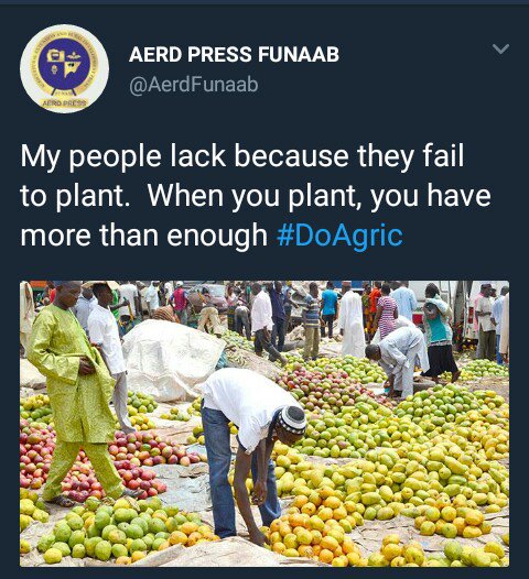 AerdFunaab's tweet photo. Agriculture is the Way to Life,  #DoAgricItPays 
@AerdFunaab @CorpFarmersTV @farmerscornerng @FMARDNG @FunaabsuRebirth @unaabweb @FAOKnowledge https://t.co/y6I7VrkTQk