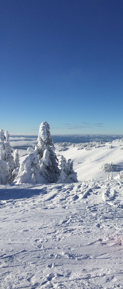 wintersportsco's tweet photo. Back to the office, and dreaming of the white stuff until next season! Roll on #NZ2018 and #winter2019
#ski #snowboard #skiing #snowboarding #wintersportsco https://t.co/Y7B6VU4pR8