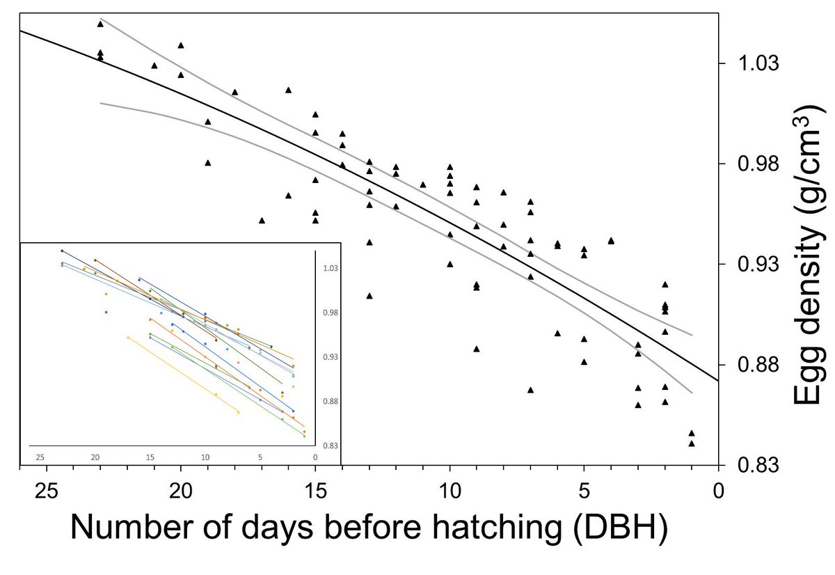 JnHansen1's tweet photo. 3 #WSTC4 #BreBio Analysing 75 calculated densities of 25 eggs against hatching progress, our best model, validated for repeated measures (inset), indicates that density decrease follows a quadratic function. #SeabirdEggs #EggPhysiology https://t.co/gdRFqHPeXA
