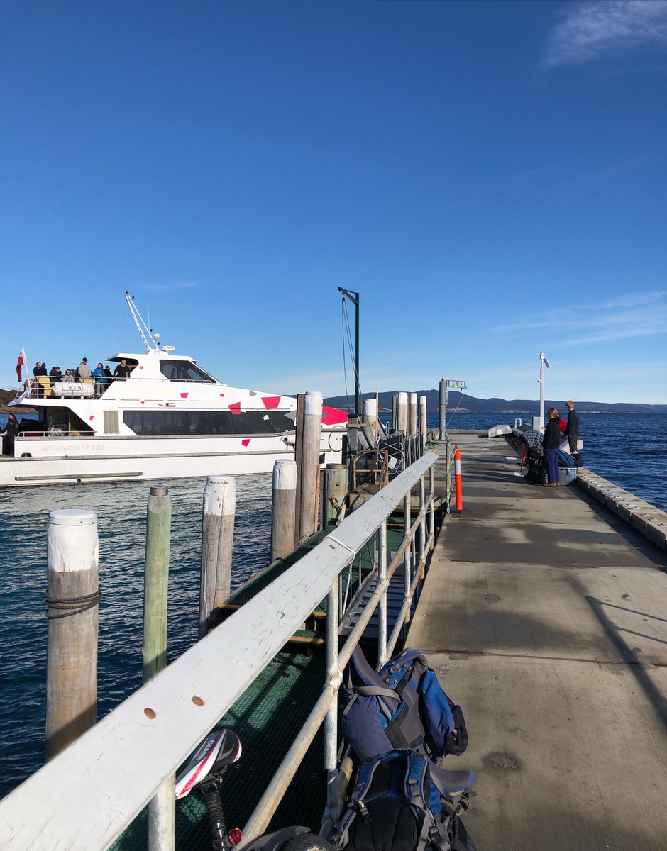 simreev's tweet photo. Great 2nd day on Maria Is for #xas101 with some Zooplankton, sediment infauna sampling and snorkeling. @ScottDLing @AbigailJRSmith @IMASUTAS #Marineteens #doitforthedata https://t.co/TYLtCgOFK4