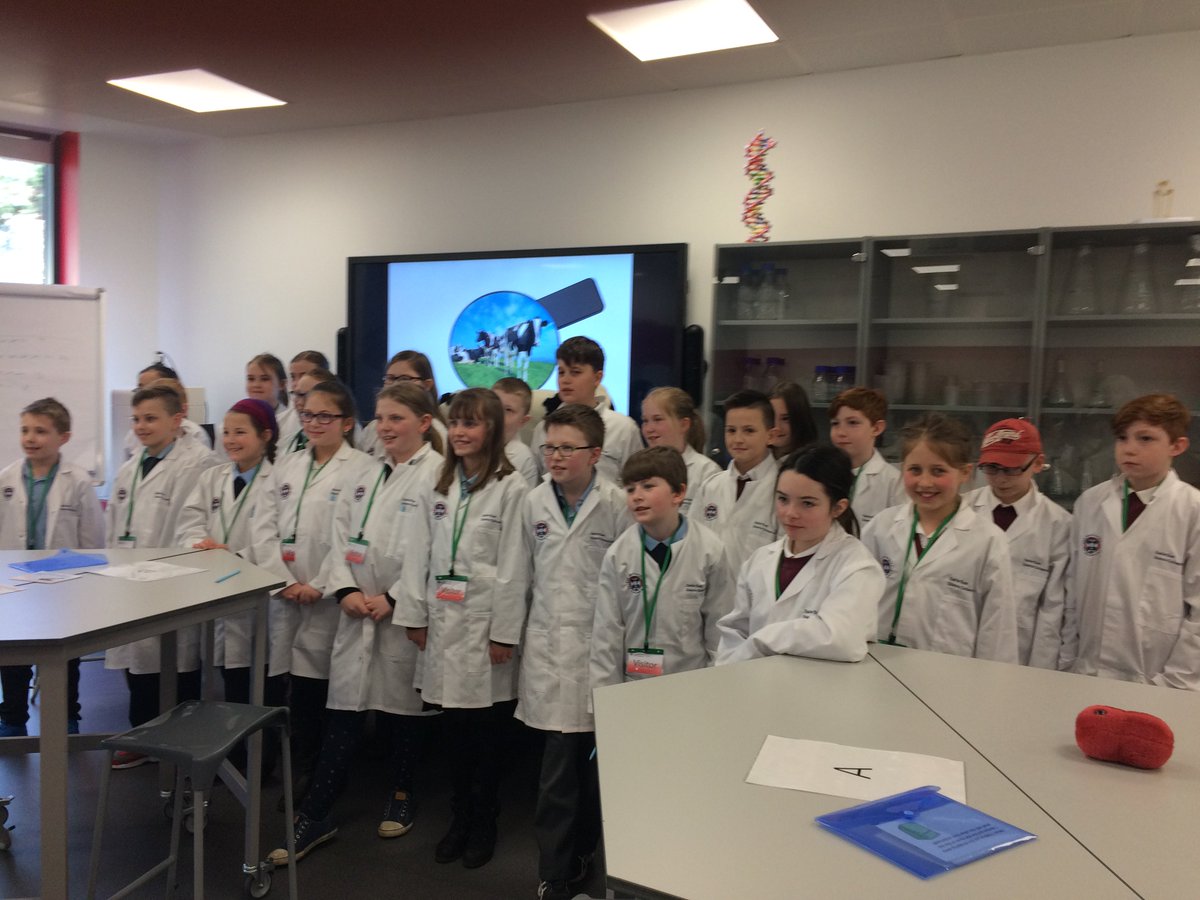 SchoolBroughton's tweet photo. The P6 classes from Broughton and Newlands enjoying a fabulous day of hands on science at the Easter Bush Science Outreach Centre. A great experience investigating bacteria and disease in the new teaching lab.#Active learning https://t.co/XY5qA8Czcj