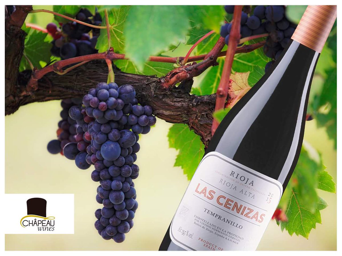 ¡Novedades! 

A partir de hoy comercializamos “Las Cenizas”. Las Cenizas es el nuevo vino icónico de Viñedos Hermanos Hernáiz, elaborado con uvas de parcelas de viñedo ubicadas en Cenicero.
Para más información: info@chapeauwines.es 
#chapeauwines #vinos #wines #vino  #larioja