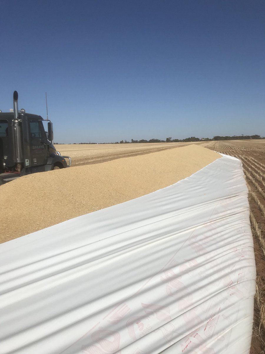 Never under estimate a silo bag. Never think they are going ok. Might just get on the tractor i think. Gotta have a laugh though!