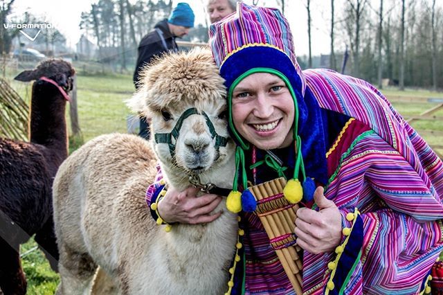 VFormationFun's tweet image. Zin in een knotsgekke teambuilding met alpaca's? 😀
.
Check snel de Andes Games op onze website.
.
Link in bio 📌
.
#vformationfun #alpacafun ift.tt/2HcBkTz