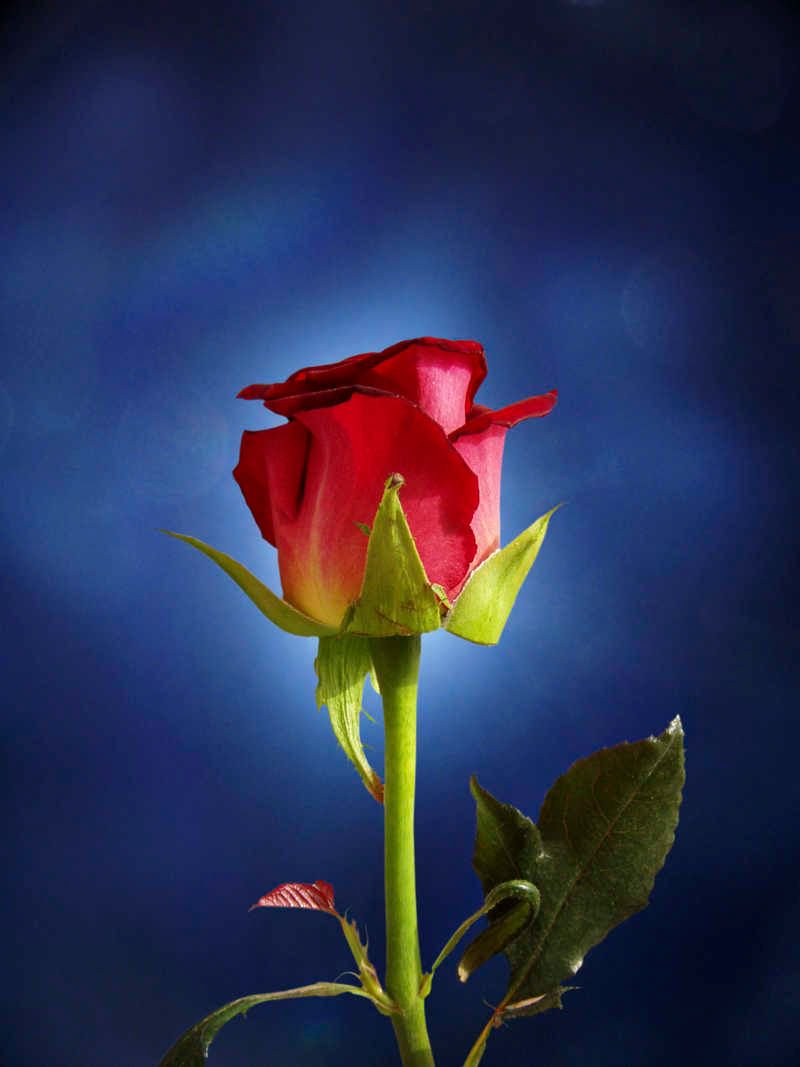 MessagePanda's tweet image. "Sometimes, when one person is missing, the whole world seems depopulated."