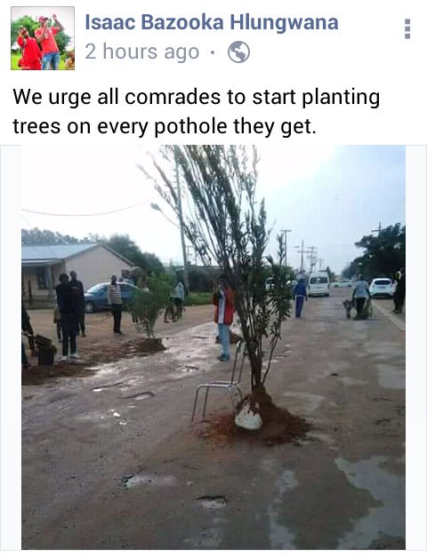 HlokiMabogale's tweet photo. From Lemondokop to Mamaila village in #Sekgosese, Greater Letaba local municipality, #Limpopo would be a jungle. Cc @ContyLebepe @joeywarabapane @MantholeDjDec @ChupuMathabatha @TransportLimCom https://t.co/dim0RLsynD