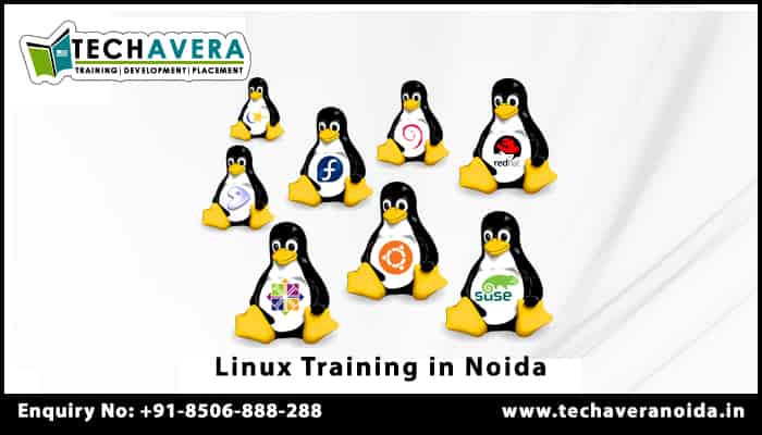 techaveranoida's tweet image. Best LINUX Training Institute in Noida
techaveranoida.in/best-linux-tra…
#BestLinuxtraininginNoida, #LinuxTrainingInstituteinNoida, #Linuxtraininginnoida, #LinuxTraining, #LinuxCourses, #LinuxClassesinNoida, #Linuxtraininginstitutesinnoida, #bestLinuxtrainingcenterinnoida,