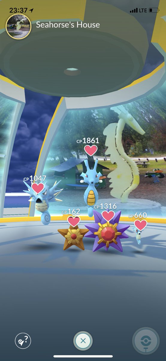 ArcticAshlea's tweet image. All it needs now is a Corsola 😍🧜‍♀️#pokemongo #themegyms #teaminstinct #itsalwayssunnyonteaminstinct @totalmonsense @TheSilphRoad @PokemonGOHubNet