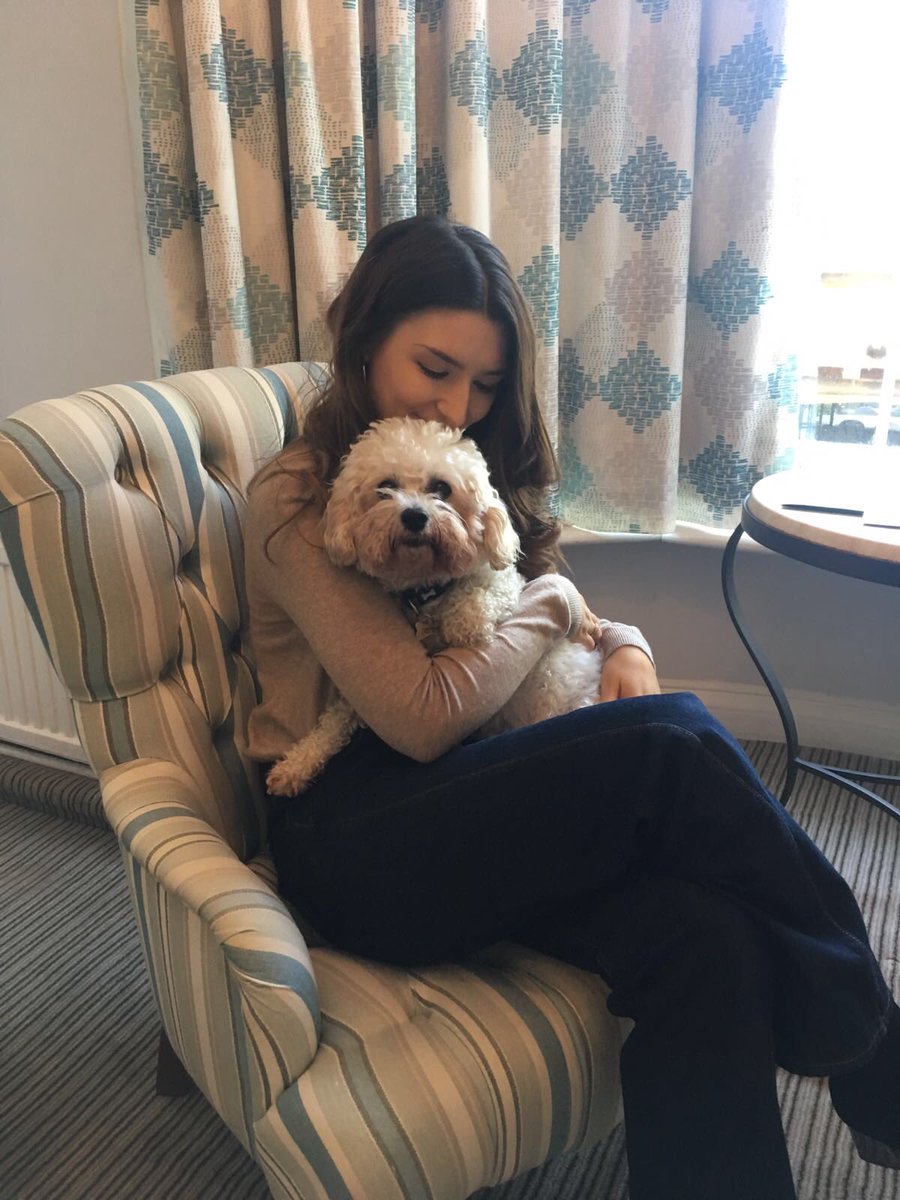 Buster thoroughly enjoyed his stay at <a href="/OldShipHotel/">The Old Ship Hotel</a> in Brighton! Review in Woman’s Weekly coming soon