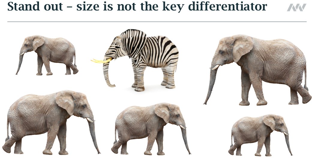 MackayWilliams's tweet photo. Size is not the key differentiator – you need to stand out in other ways than just being the biggest
#DistributionDialogueSpring18 https://t.co/kwOHNhv50G