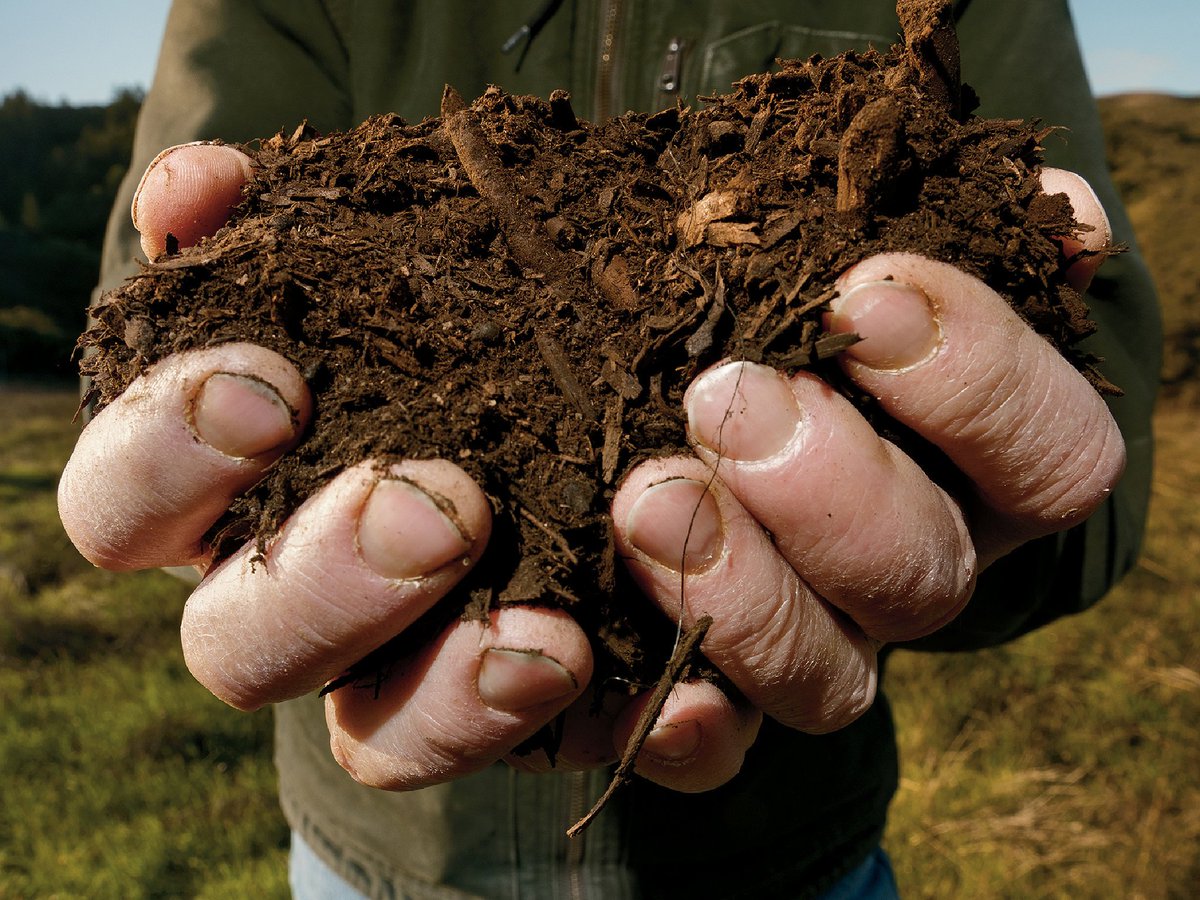 PBarczak's tweet image. Can Dirt Save the Earth? To prevent carbon from causing misery and destruction, perhaps we just need to change its location? 
nytimes.com/2018/04/18/mag… @Green_Europe  #circulareconomy #waste #compost #zerowaste