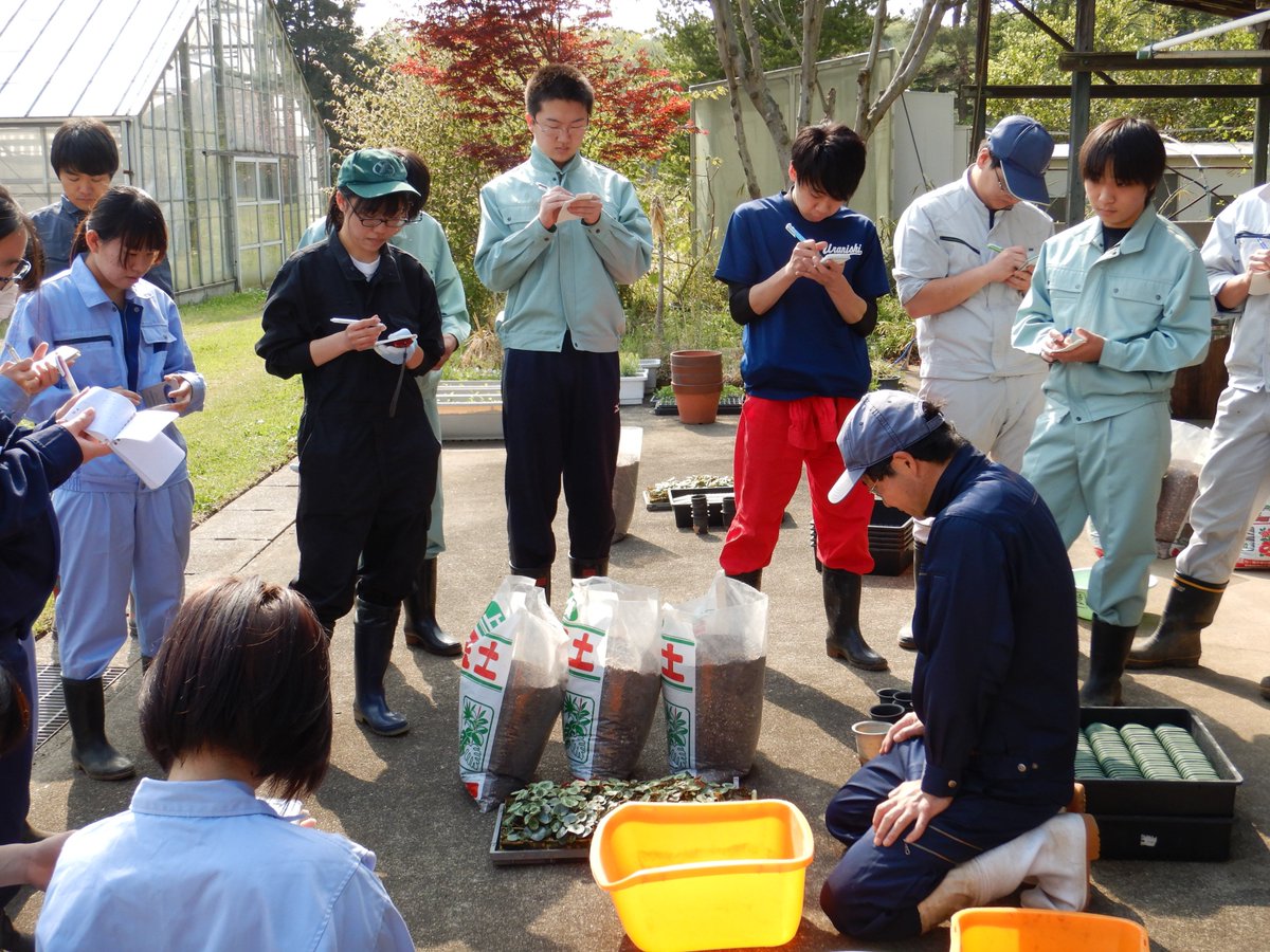 宇都宮大学農学部附属農場 U U Farm در توییتر 今日から フィールド実習 が本格的にスタートしました 農学部生物資源科学科の必修科目で 植物と動物に分かれて専門性の高い実習を行います 今年度で定年の居城先生 園芸分野 にとっては 最後の1年です 宇都宮大学農学部附属農場 U U Farm در توییتر 今日から フィールド実習 が本格的にスタートしました 農学部生物資源科学科の必修科目で 植物と動物に分かれて専門性の高い実習を行います 今年度で定年の居城先生 園芸分野 にとっては 最後の1年です