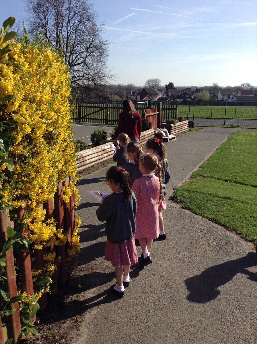 wooltonprimary's tweet photo. Year 1 enjoyed going on a mini beasts hunt this morning to learn all about their habitats #WPSLearning #WPSMinibeastshunt https://t.co/yyyBVgtJ3k