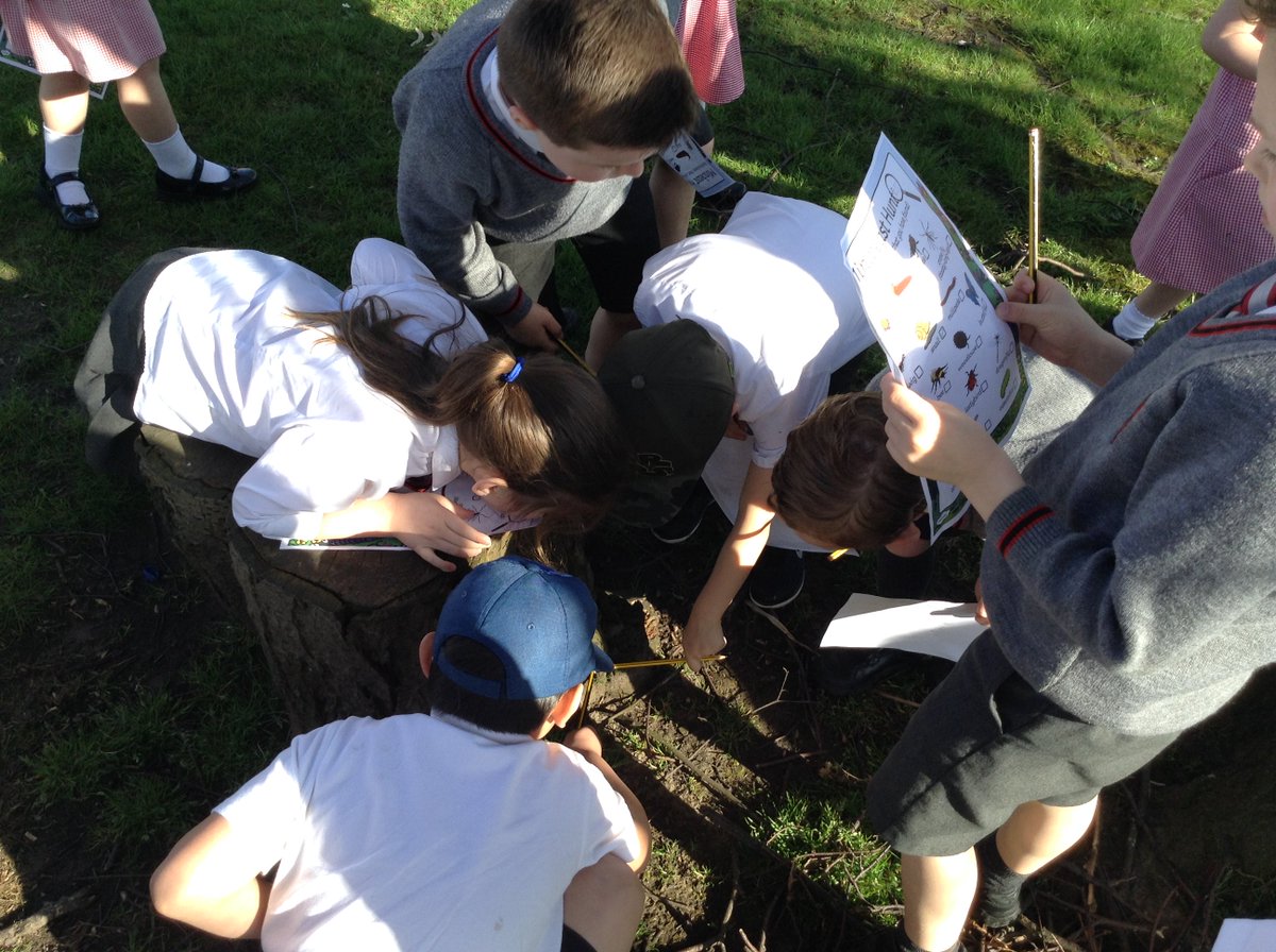 wooltonprimary's tweet photo. Year 1 enjoyed going on a mini beasts hunt this morning to learn all about their habitats #WPSLearning #WPSMinibeastshunt https://t.co/yyyBVgtJ3k