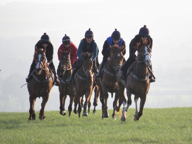 Ascot Colts and Fillies star MISS INGA SOCK leads the gallop with <a href="/johnsonhoughton/">Eve Johnson Houghton</a>