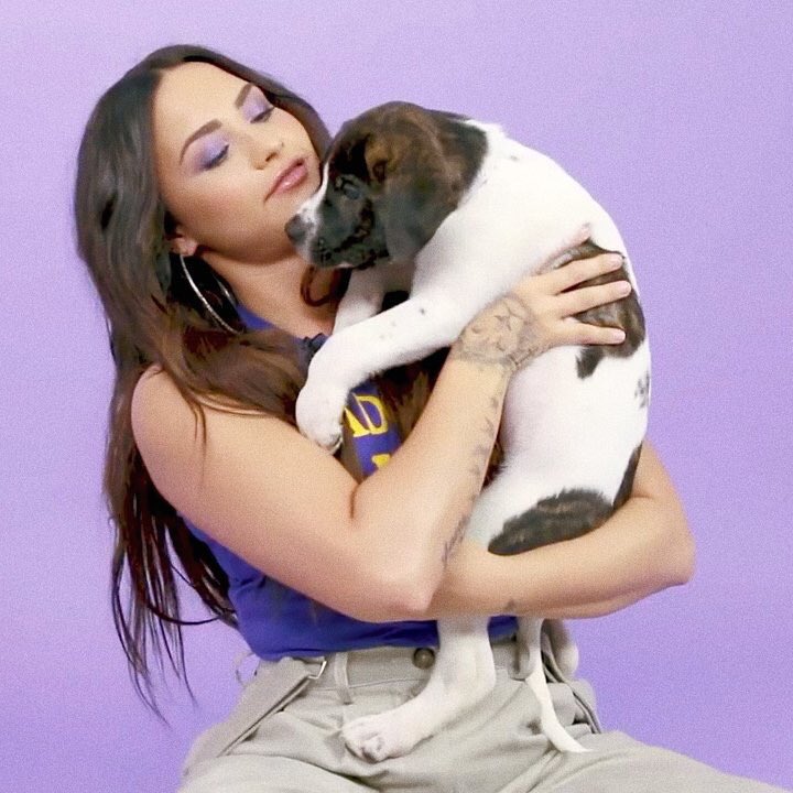 projeto_lovato's tweet photo. Bom Dia amores <3
META DO DIA | Duzentas respostas aqui.

Se todos ajudarem, vamos conseguir!

#PremiosMTVMiaw 
#MTVBRPETBATMAN https://t.co/wrLf7r4OYl