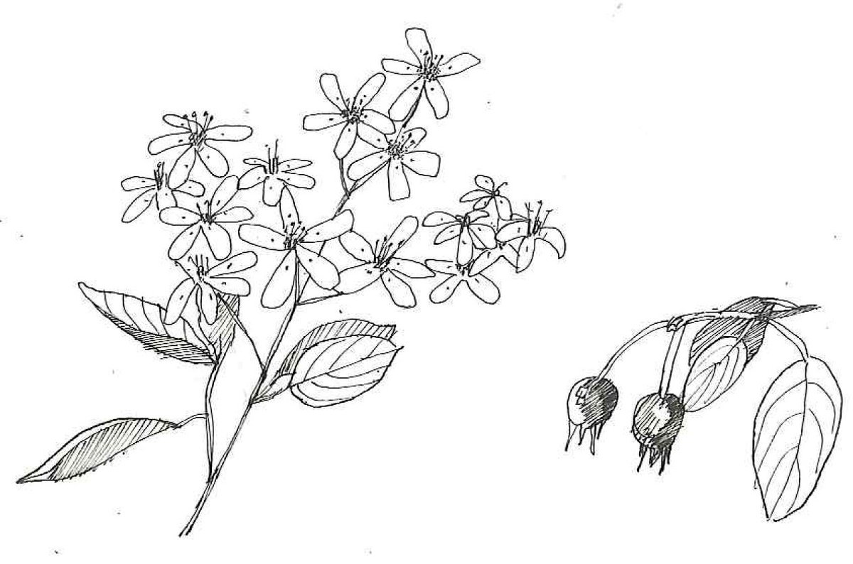 PLACEDesign&Planning tweet media