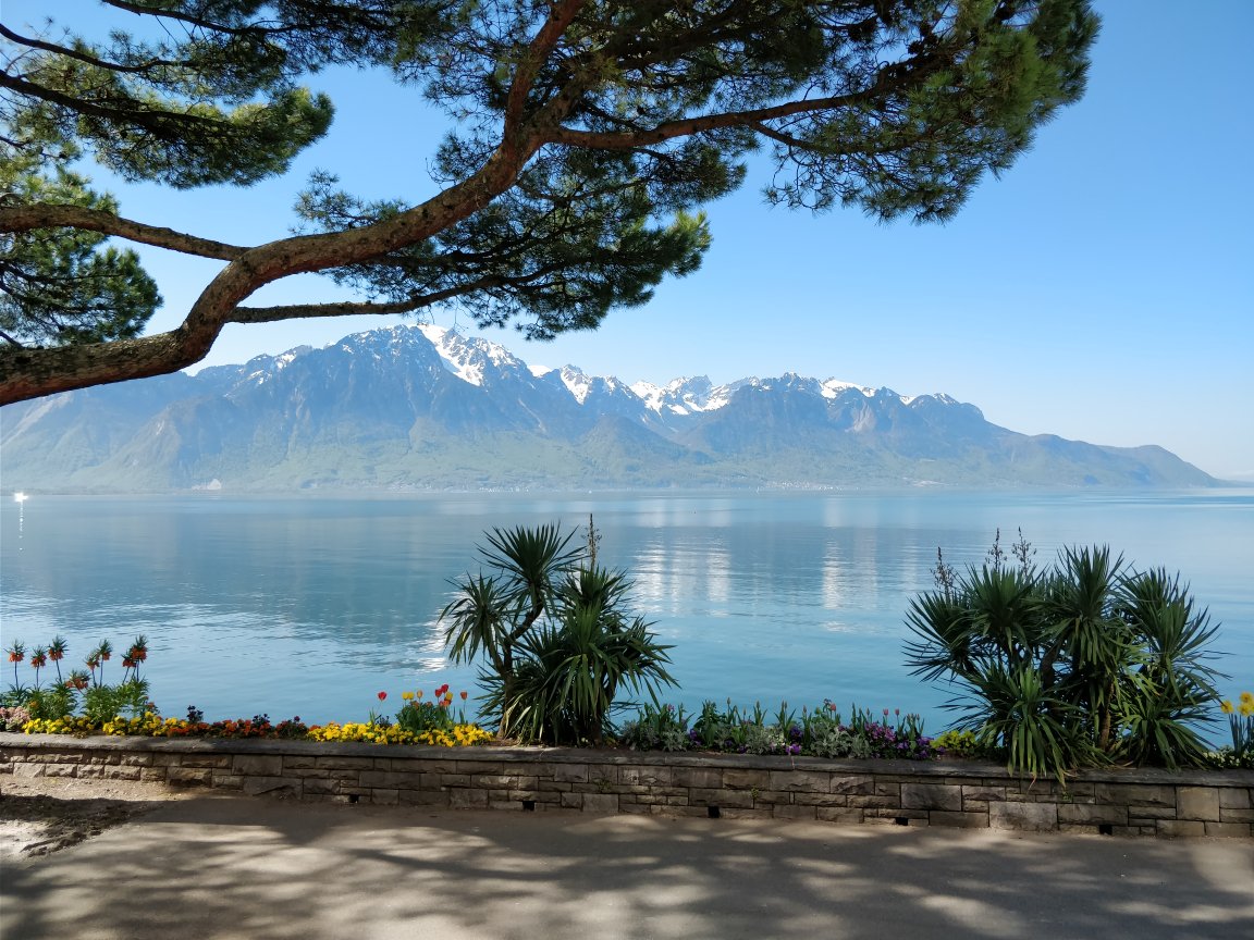 DigitalProteome's tweet photo. In Montreux waiting for the Swiss Proteomics Society #sps meeting to start... could be worst https://t.co/QdwxCyGCVf