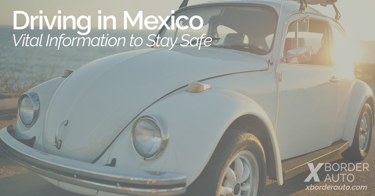 XBorderAuto tweet media