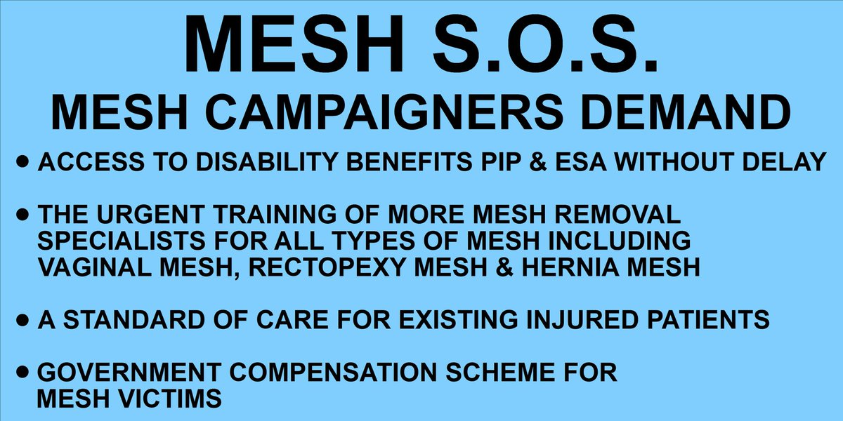 MaryRMcL1's tweet photo. @gina_knows and Mesh campaigning veteran Ann Boni launch their #MeshSOS campaign at Westminster today. #MeshIreland proud to support the objectives of this campaign. @EmmaHardyMP @OwenSmith_MP @ElneilSuzy @KarenPreater @MBLacey https://t.co/x7aRx24jX1