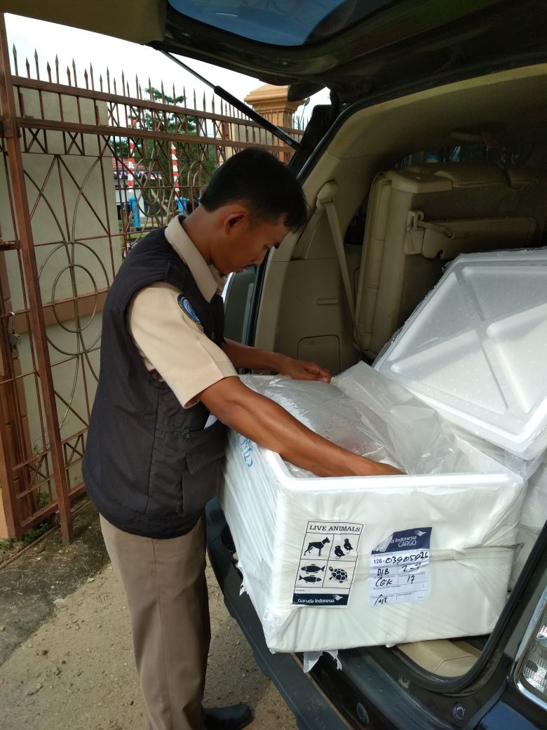 BPPMHKPJambi tweet picture