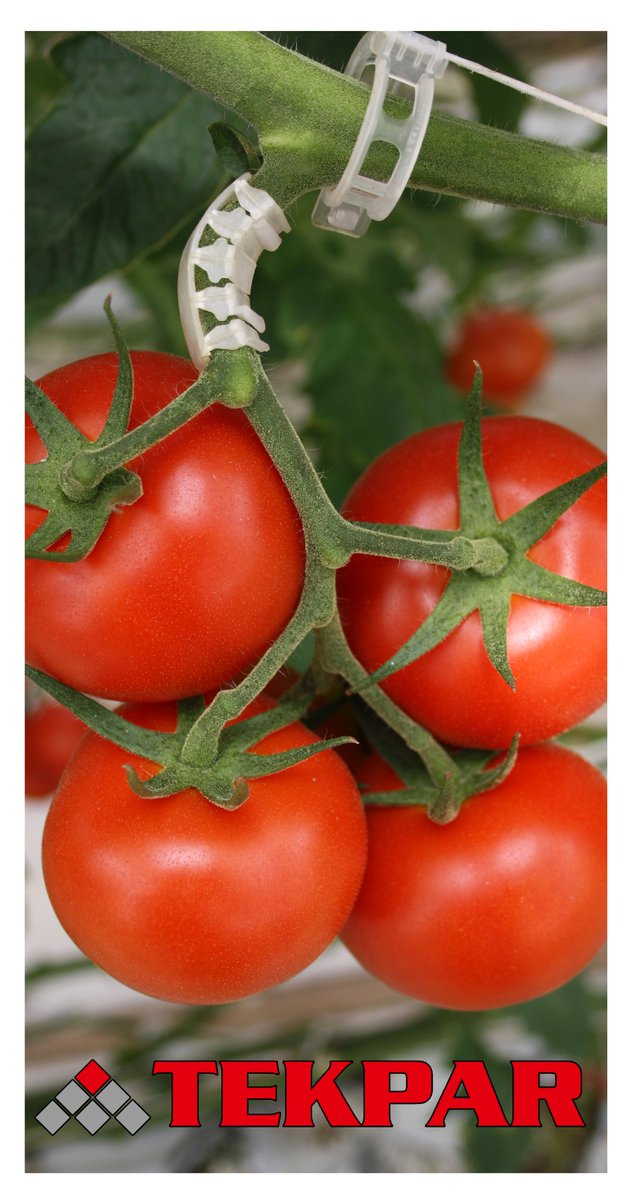 TEKPAR Plastik (@tekparplastik) on Twitter photo 