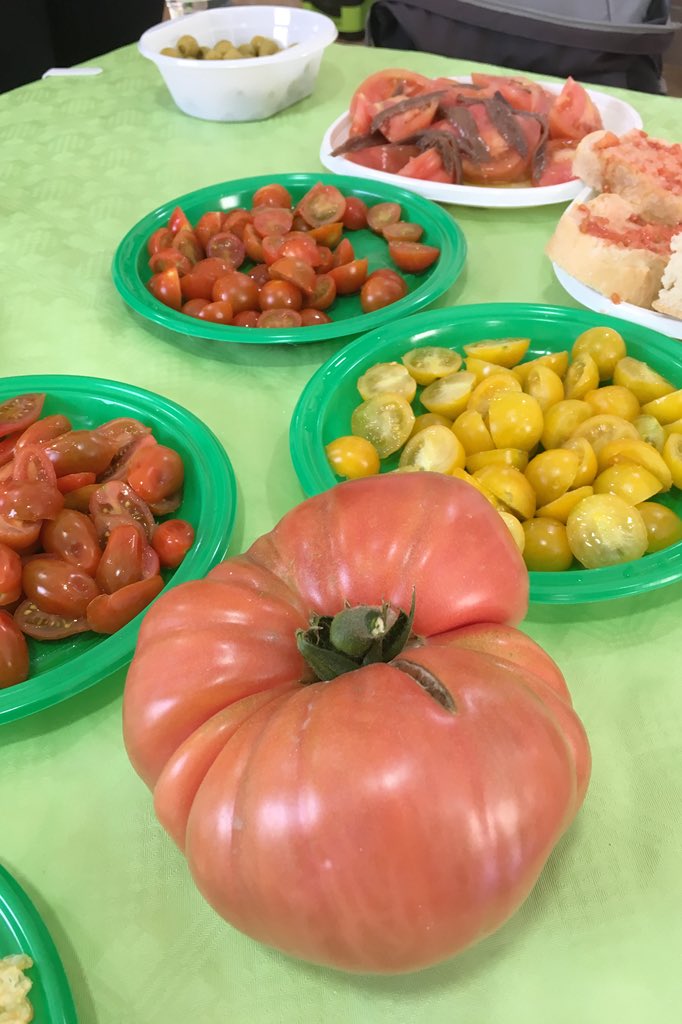 miguelpaezm's tweet photo. Gozar de un buen tomate 🍅 recolectado en ese mismo momento de la mata 🌱 no tiene precio... Sabor, olor y frescura increíbles en Rabal Valverde en Ramonete #CostaCalidaconDestinia @Destinia @murciaturistica https://t.co/lnIyfpY4SQ