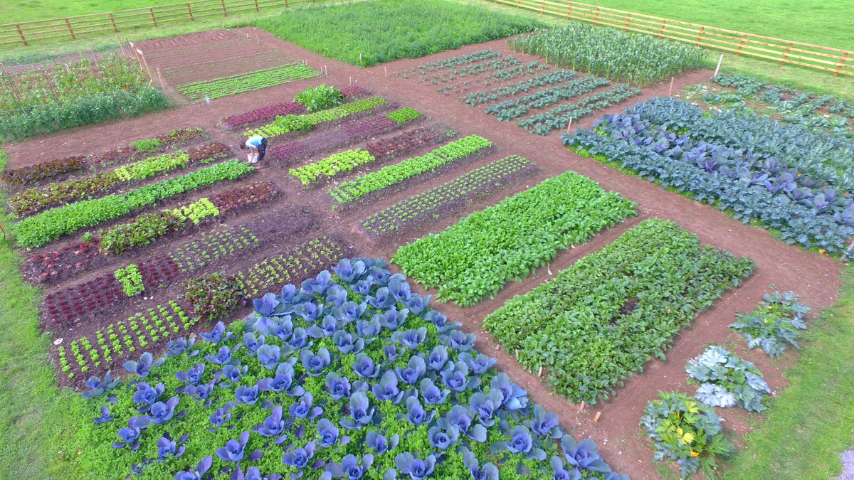 We are celebrating nature today by looking forward to our next spring harvest tomorrow! Our organic garden allows us to supply the hotel with fresh vegetables, salads and herbs all year round  #organicgarden #Nature #ManorHouseThursday #Sustainability #farmtofork 🥕➡️🍴