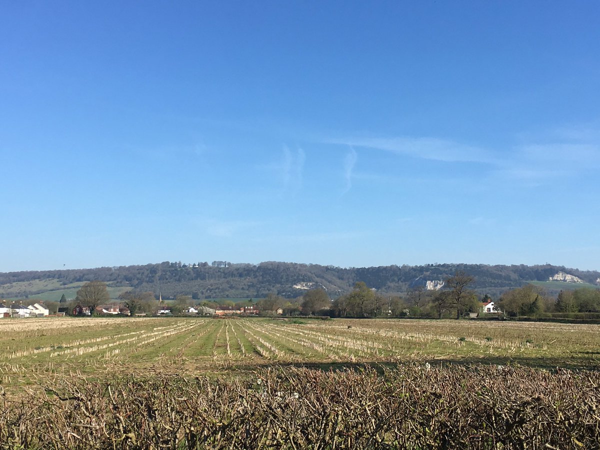 ServicesHunt's tweet photo. #WarmestDayOfTheYear Another stunner of a day!! #springhassprung #blueskies #spacetobreathe #heatwave #smallbusinessowner #dorking #reigate #brockham #virtualassistant #FREELANCE #freelancepa #freelanceadmin #socialmedia #surrey #surreymummy #surreybusiness #surreychat https://t.co/OUTDNTSf5G