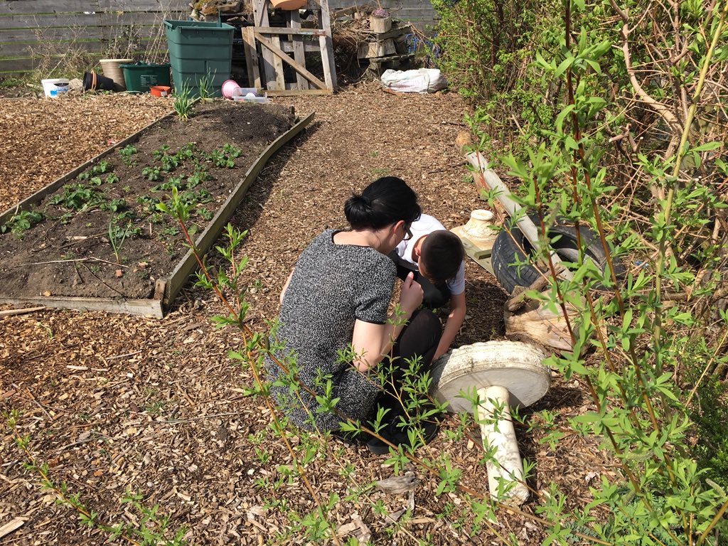 GabrielAssisi's tweet photo. P5 took advantage of this fabulous weather to go on a hunt for microhabitats in the school garden. Ask us about what we found! 🐞🐛🐜🐝 #bughunt #outdoorlearning #johnmuiraward https://t.co/nZTnMPsDBL