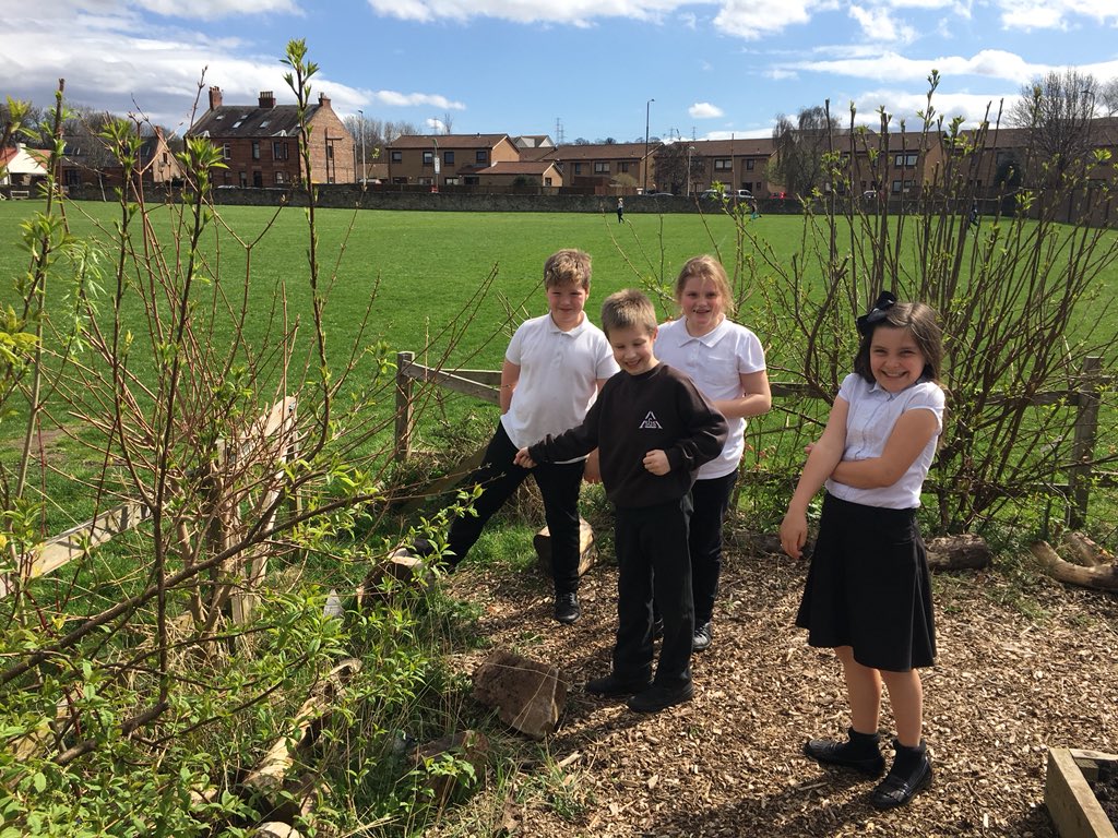 GabrielAssisi's tweet photo. P5 took advantage of this fabulous weather to go on a hunt for microhabitats in the school garden. Ask us about what we found! 🐞🐛🐜🐝 #bughunt #outdoorlearning #johnmuiraward https://t.co/nZTnMPsDBL