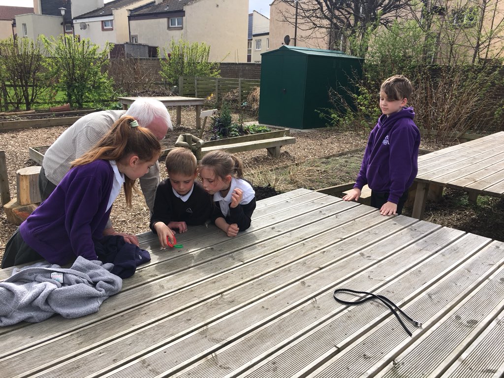 GabrielAssisi's tweet photo. P5 took advantage of this fabulous weather to go on a hunt for microhabitats in the school garden. Ask us about what we found! 🐞🐛🐜🐝 #bughunt #outdoorlearning #johnmuiraward https://t.co/nZTnMPsDBL