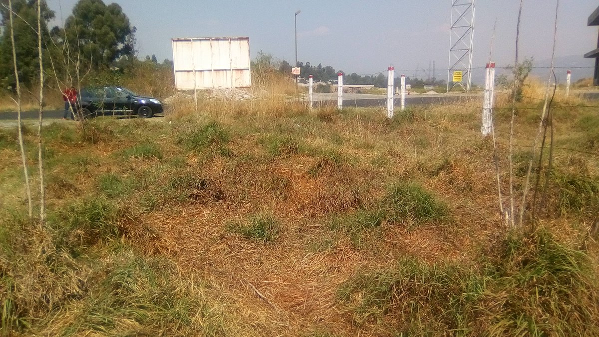 InmueblesINNMex's tweet photo. Se #Vende #Terreno de 324 m2 (12 x 27) a pie de carretera en San Diego Metepec #Tlaxcala. Buena ubicación, cerca del Libramiento de Tlaxcala, Liverpool, Gasolineras, frente a fraccionamiento residencial y a menos de 10 minutos del centro de Tlaxcala. https://t.co/1KkA1raQAJ