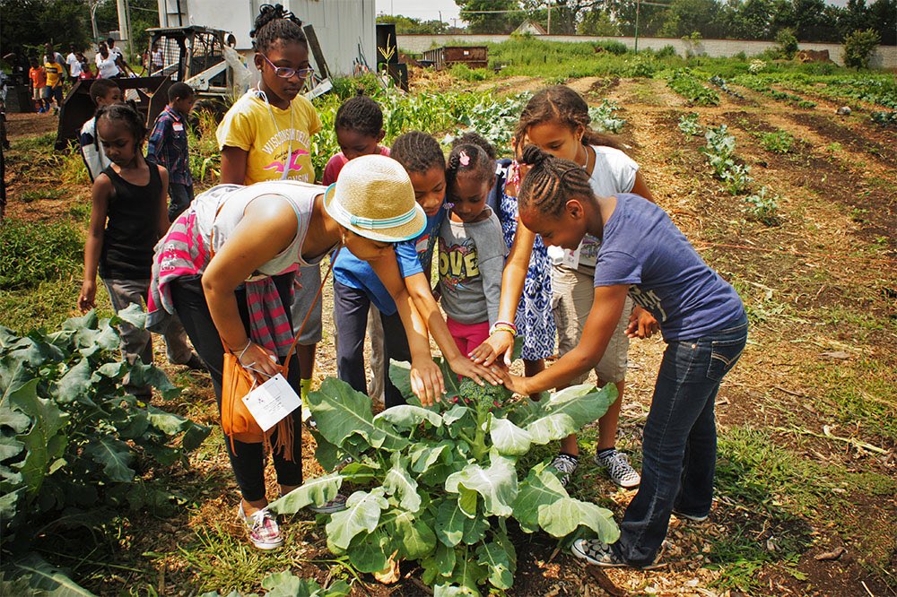 Have you checked out <a href="/SweetWaterFDN/">SweetWaterFoundation</a>? Awesome work around #citizenscience, #aquaponics, #carpentry, and now work with <a href="/arduino/">Arduino</a> to study #water, #climate, and resource mgmt! 

<a href="/NatureMuseum/">Peggy Notebaert Nature Museum</a> @HiveChicagoBuzz