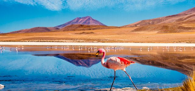 VicunaLodge's tweet photo. Tranquilidad, paz, relajo y la increíble conexión con la #naturaleza ¡Ven a #SanPedrodeAtacama y conócenos! Lo esperamos en #VicuñaLodge con toda la comodidad de nuestras instalaciones. Reserve su estadía directamente vía WhatsApp +56 9 5222 283 / E-mail: vicunahostal@gmail.com. https://t.co/k68jAEvy0c
