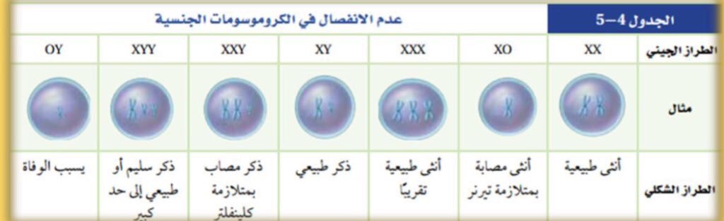 ذاكروها مهمة جداً و تتكرر منها اسئلة دائماً.ريتويت عشان الكل يستفيد .#تجميع...