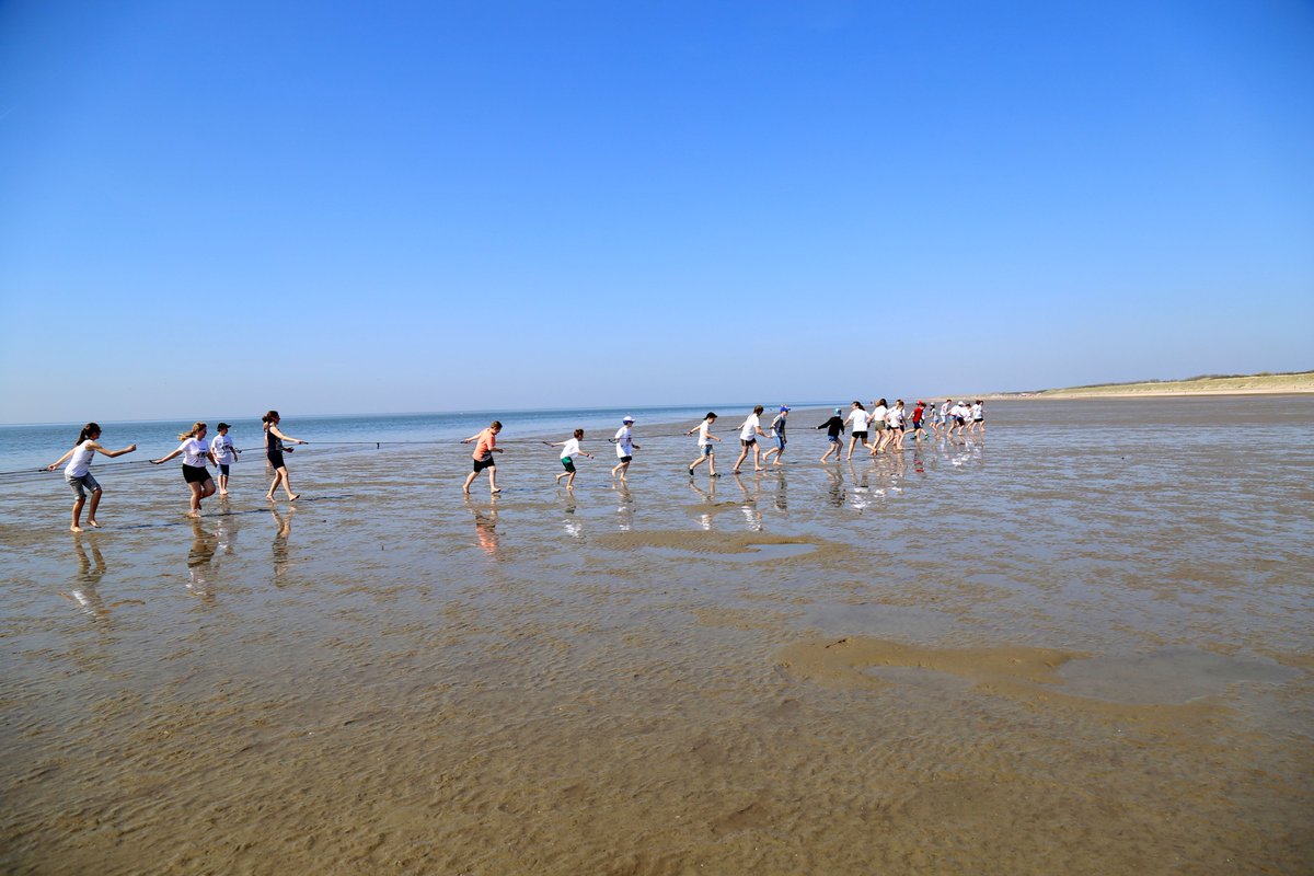 wwfnederland's tweet photo. Kids van basisschool het Kompas uit Stellendam ontdekken vandaag het #Haringvliet en leren in de expo #SwimFishSwim hoe belangrijk het is dat trekvissen de ruimte krijgen. Bijna #WorldFishMigrationDay https://t.co/m5lAMdEZ34