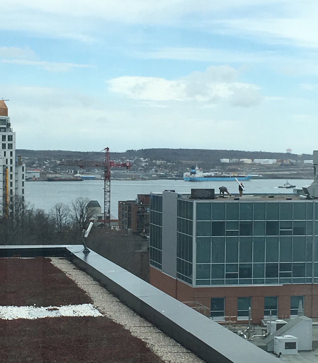 anetto's tweet photo. I don’t think any #TorontoLibraries have a view as good as Halifax Central Library. It’s  beautiful and modern, with public art in the cafe. https://t.co/foDNVS5ocB