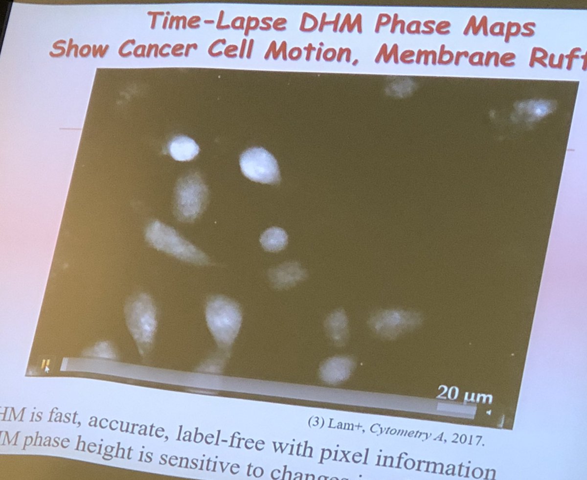 chris_danek's tweet photo. Great talk by Van Lam! Holographic microscopy and #machinelearning for personalized breast cancer treatment @CatholicUniv #researchday @CUA_engineering https://t.co/nlhfEZhVMR