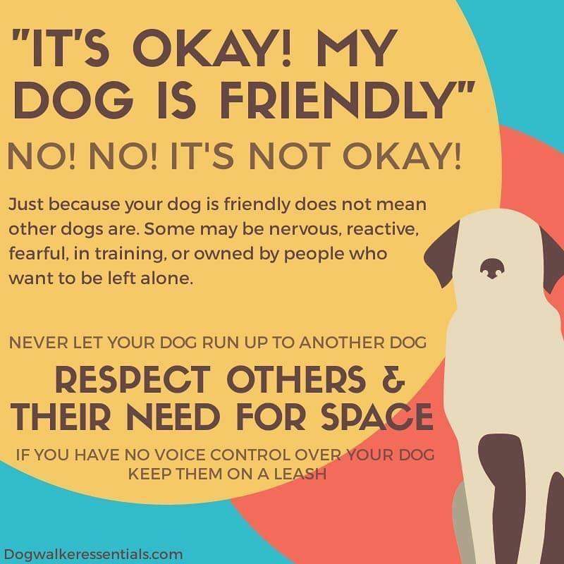 Sarah (@bootsandpaws27) on Twitter photo 